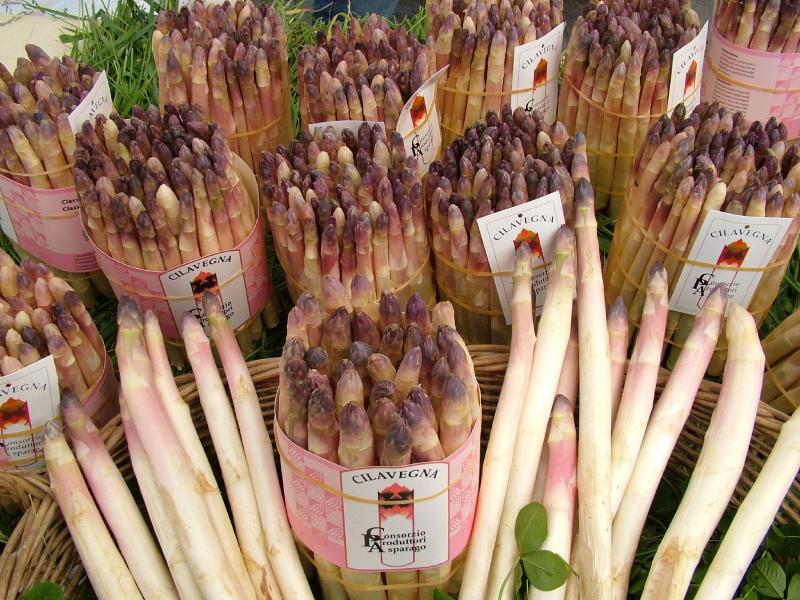 Asparagi di Cilavegna
