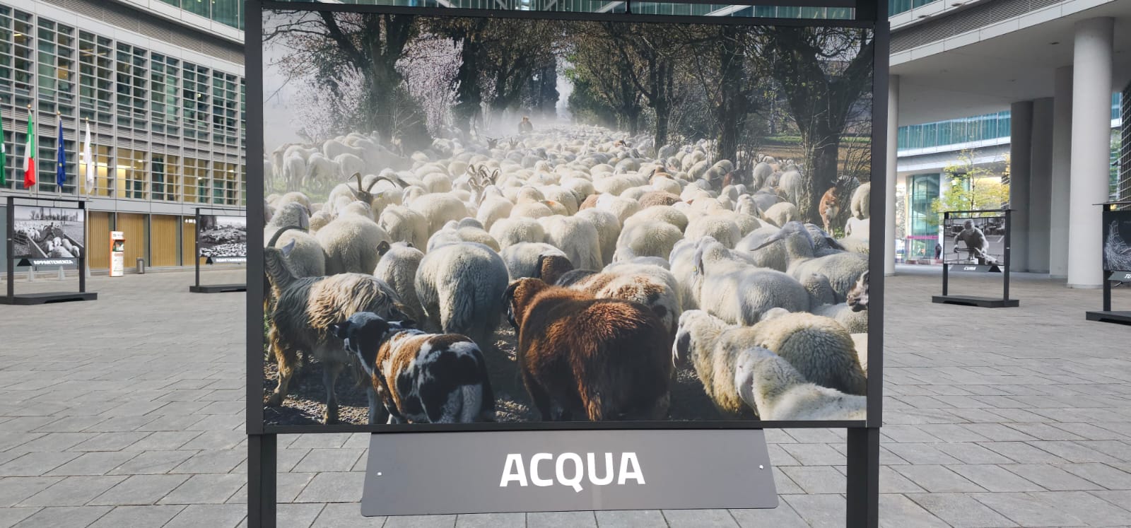 Mostra pastoralismo