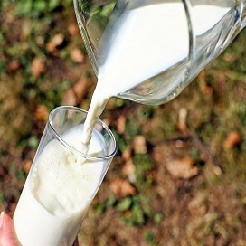 Giornata mondiale del latte