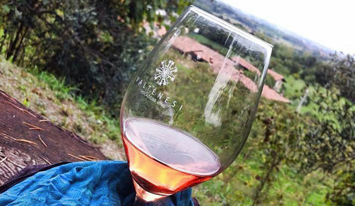 Profumi di mosto