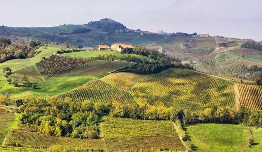 Pinot Nero Oltrepò Pavese DOC