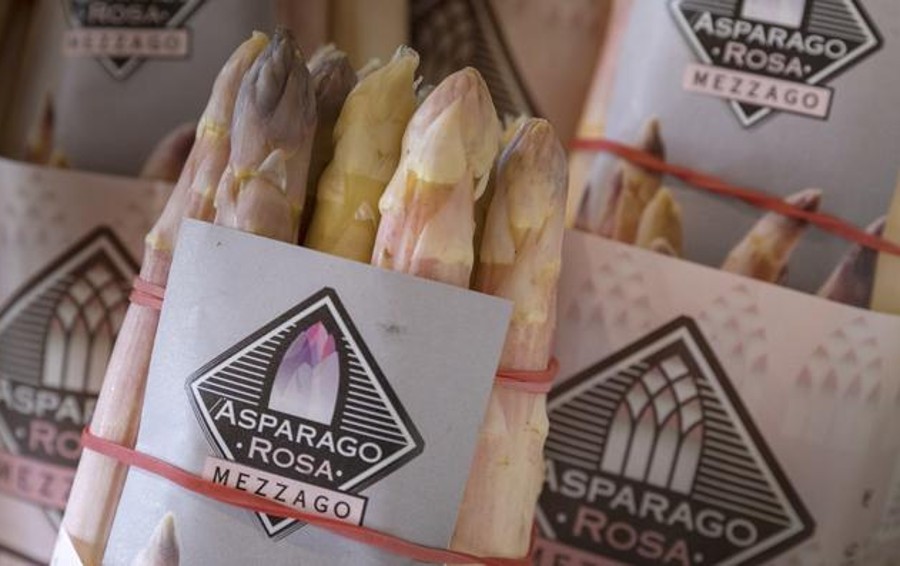 Asparago rosa