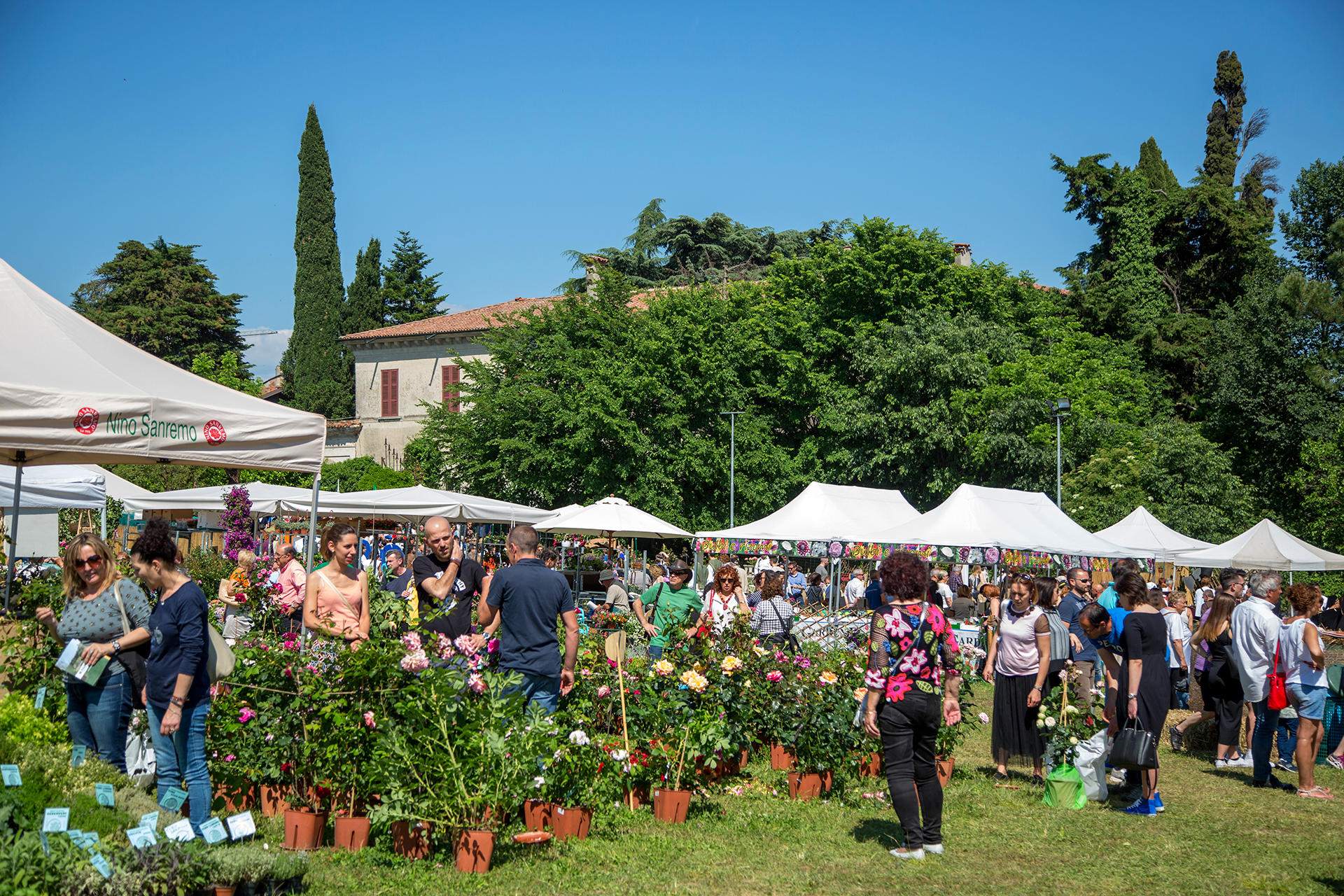 Franciacorta in fiore