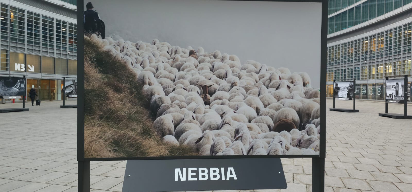 Mostra pastoralismo
