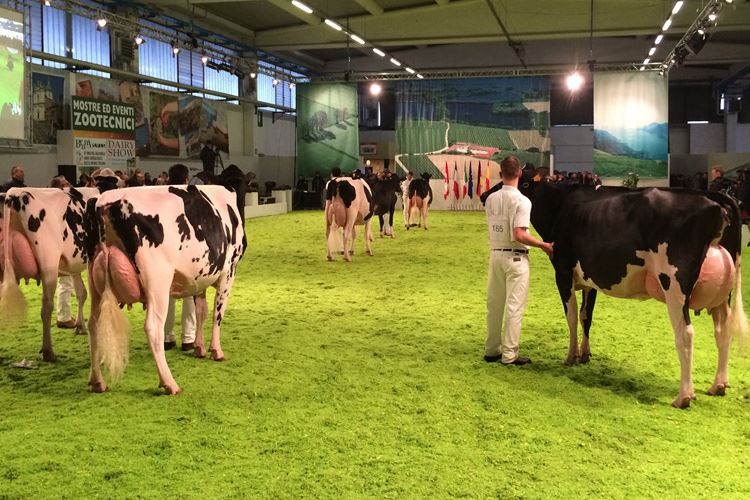 Fiera Agricola Zootecnica Italiana