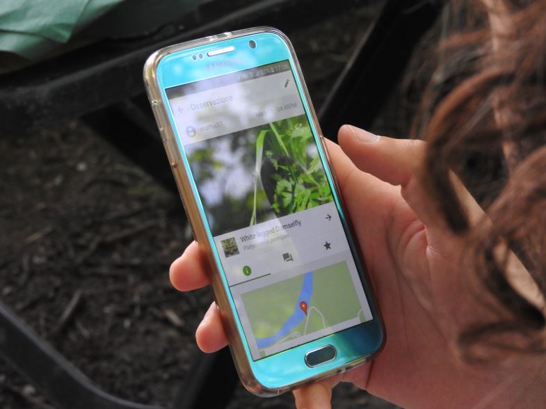 Bioblitz da casa mia