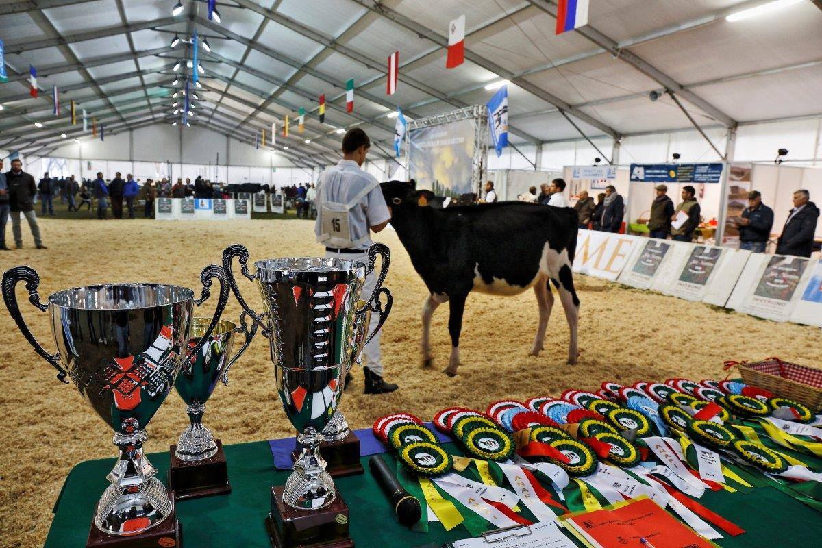 Antica Fiera di San Martino a Inveruno