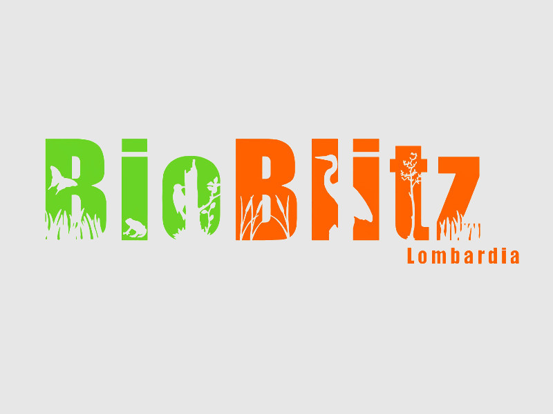 Bioblitz 2023