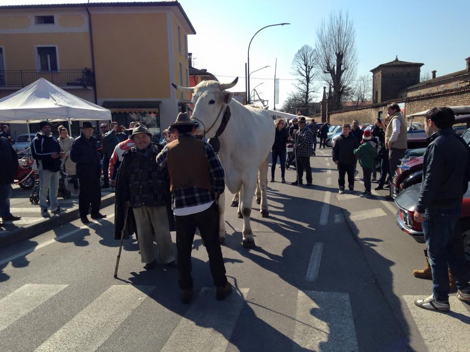 Fiera agricola di Calvisano