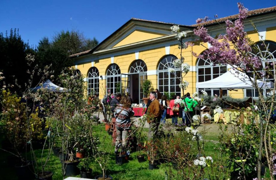 Floribunda 2018