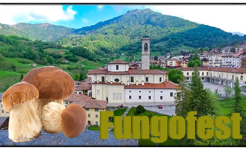 Fungofest a Serina