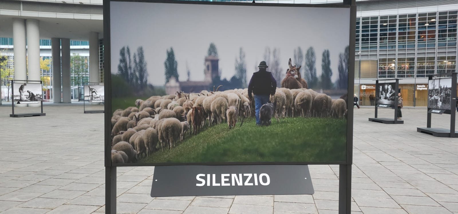 Mostra pastoralismo