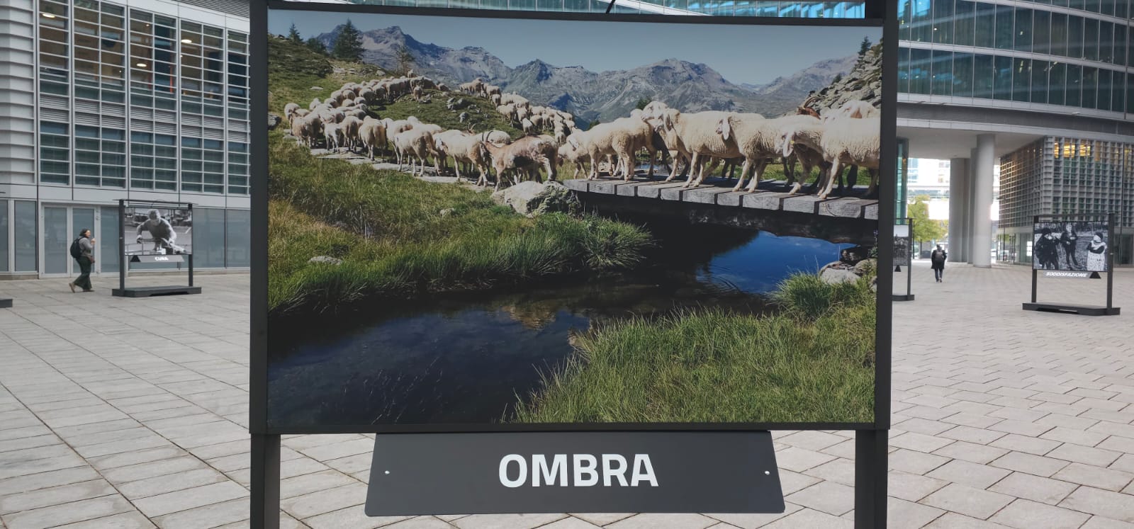 Mostra pastoralismo