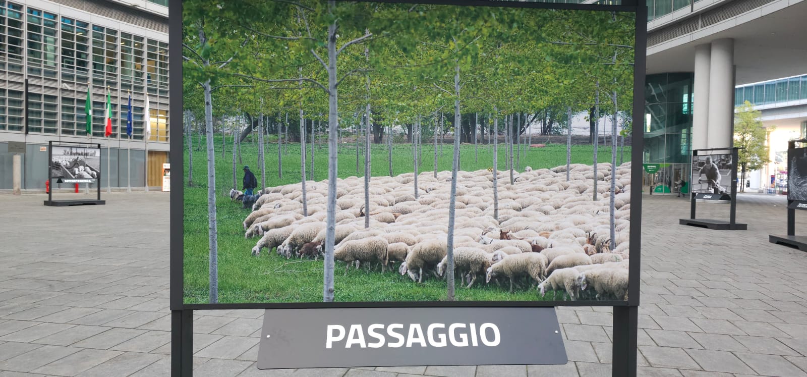 Mostra pastoralismo