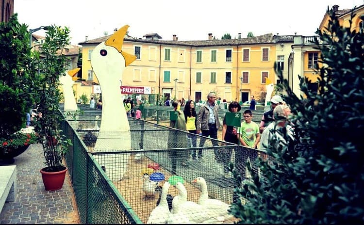 Sagra Salame d'Oca di Mortara