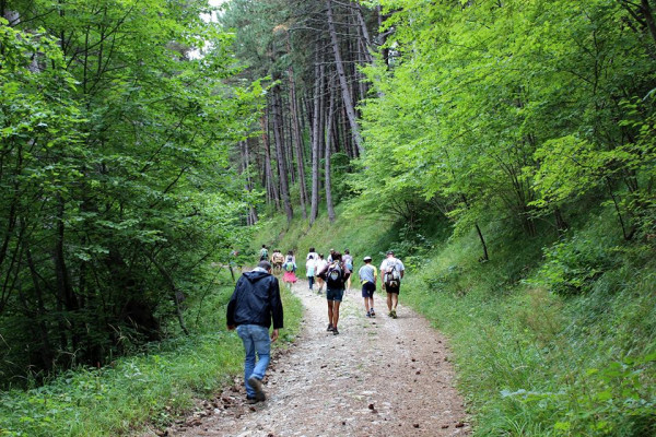 Camminare al monte Alpe