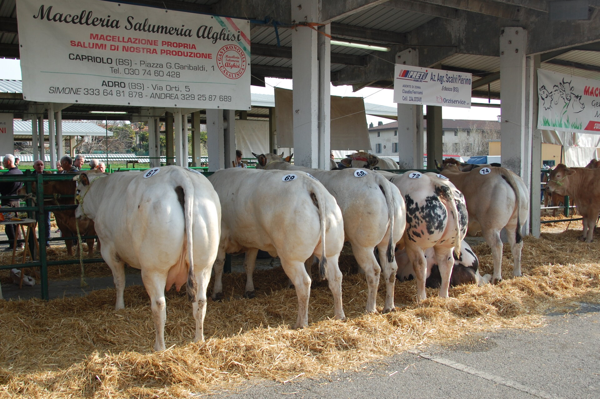 Lombardia Carne 2025