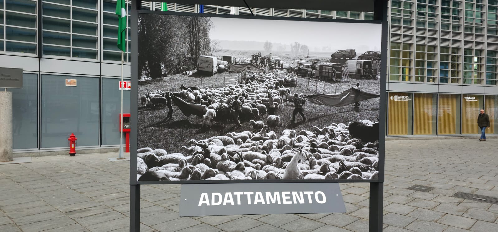Mostra pastoralismo