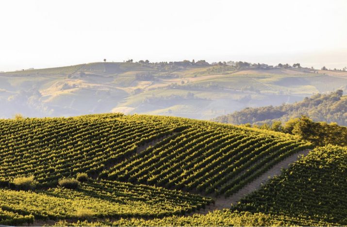 Veduta della Valle Versa in provincia di Pavia