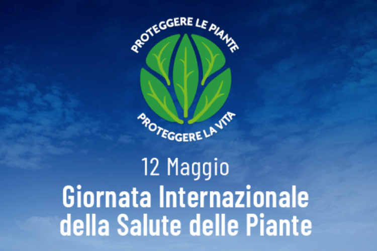 Giornata Internazionale Salute delle Piante
