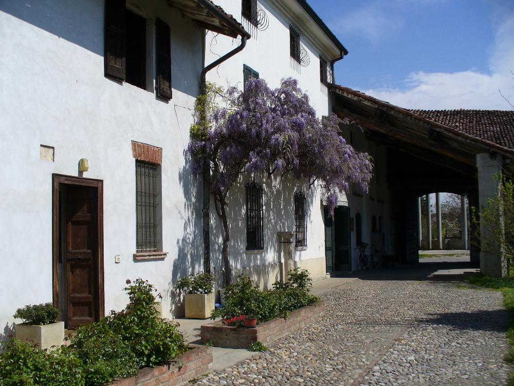 Agriturismo con glicine