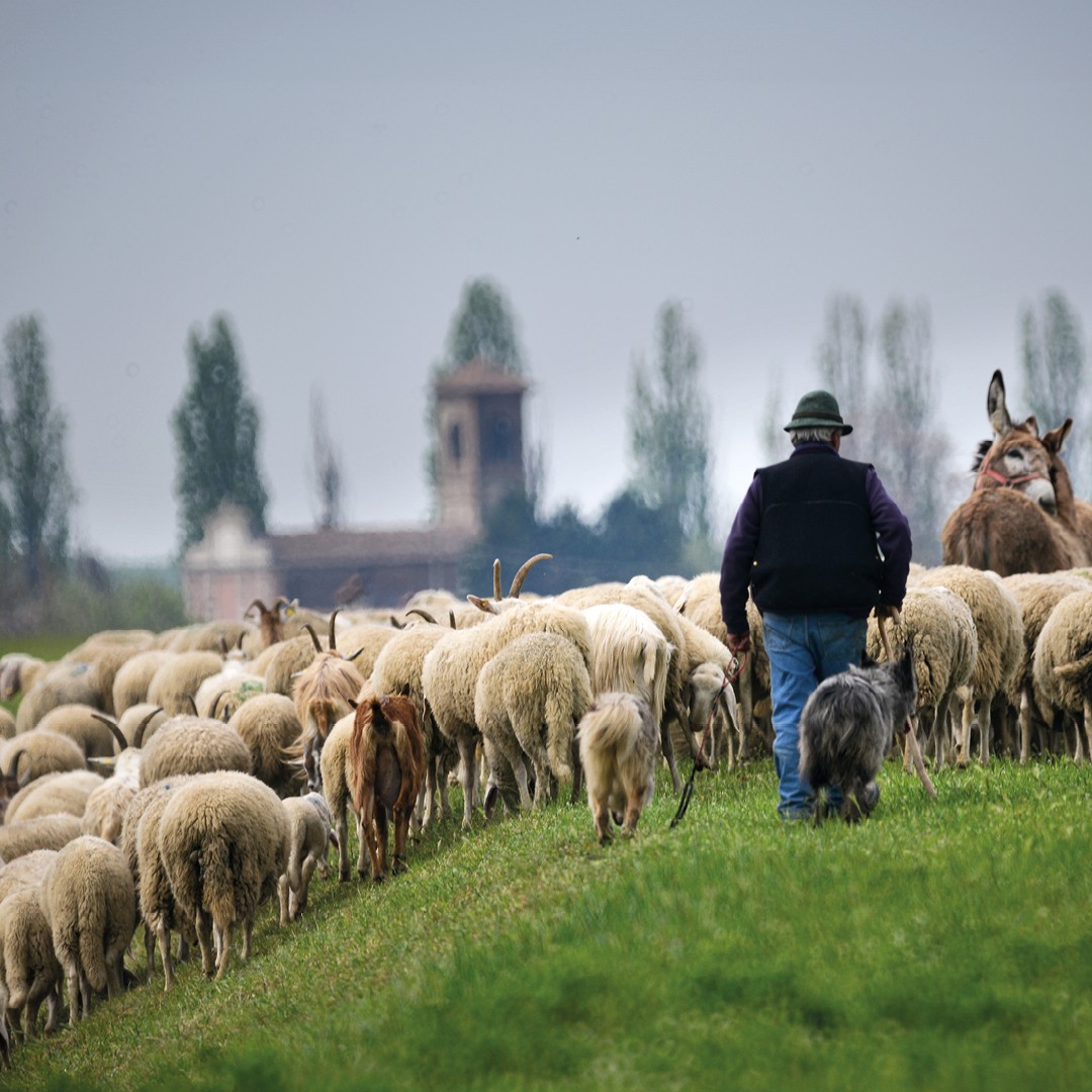 Biodiversità agricola e alimentare