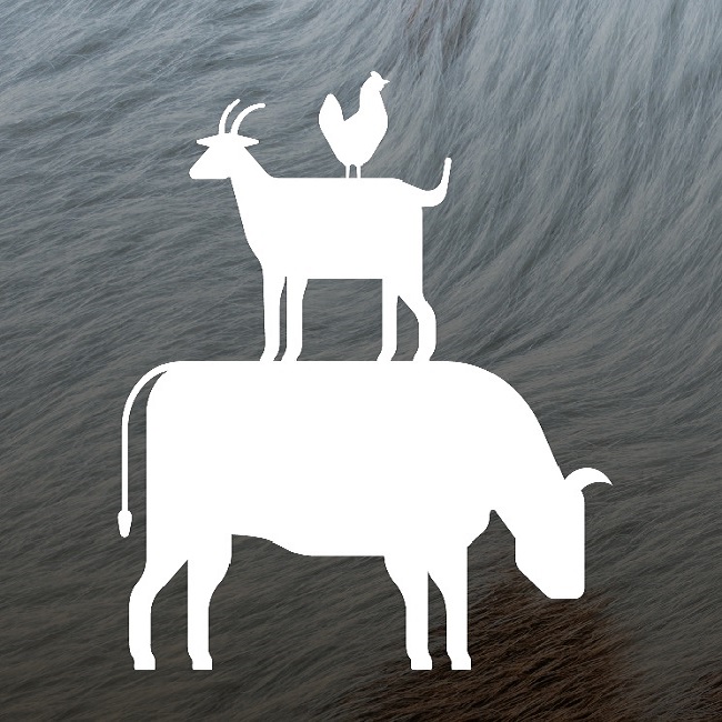 Agrobiodiversità animale