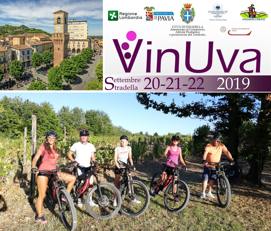 Vinuva 2019