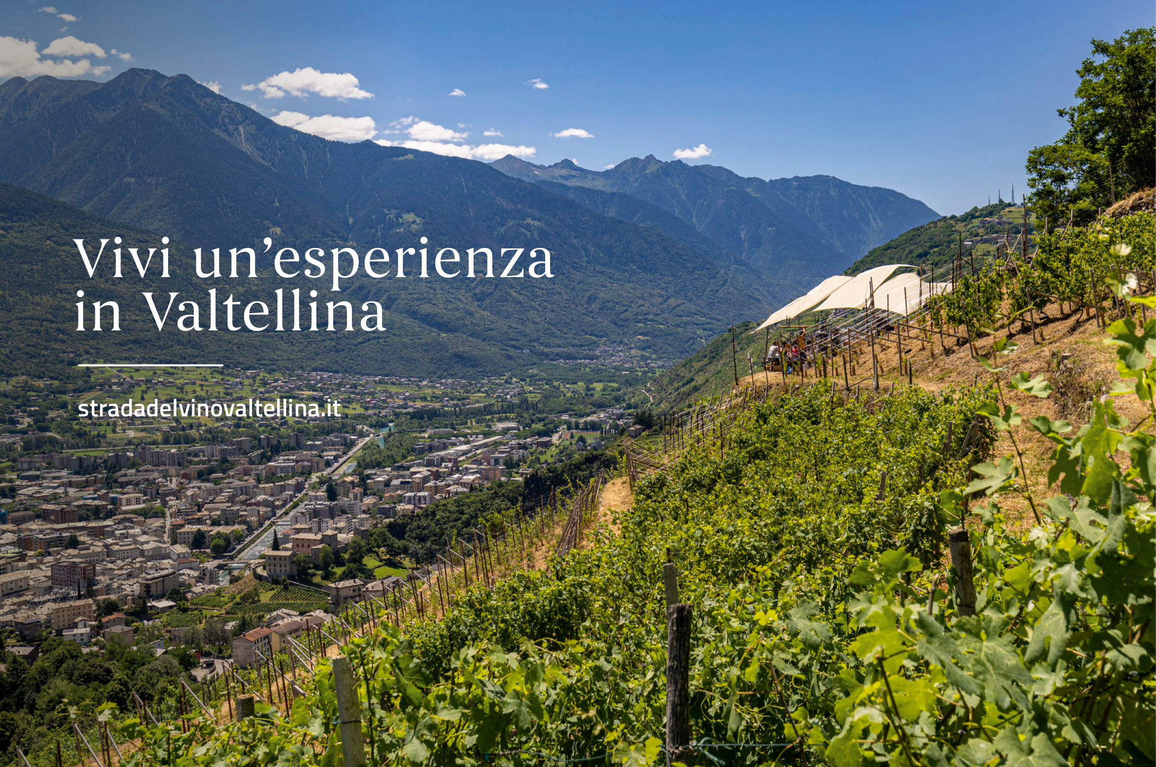 Strada dei sapori e del vino della Valtellina