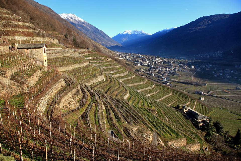 Valtellina