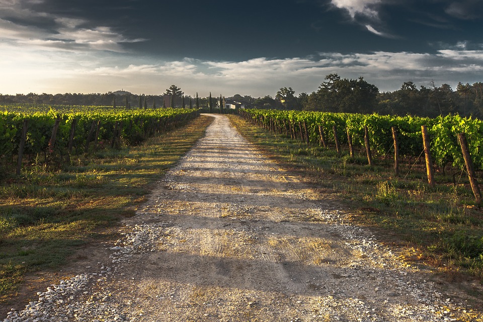 Vini di Lombardia