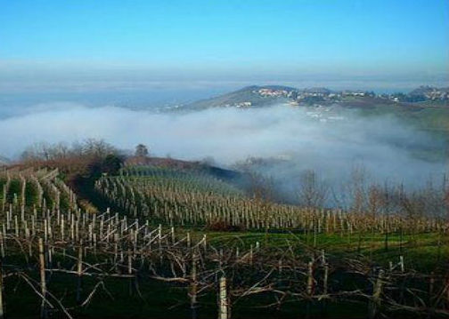 Sperone di Stradella (Pv)