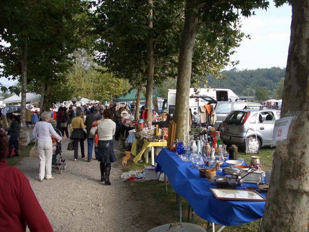 Mercatino di Alserio