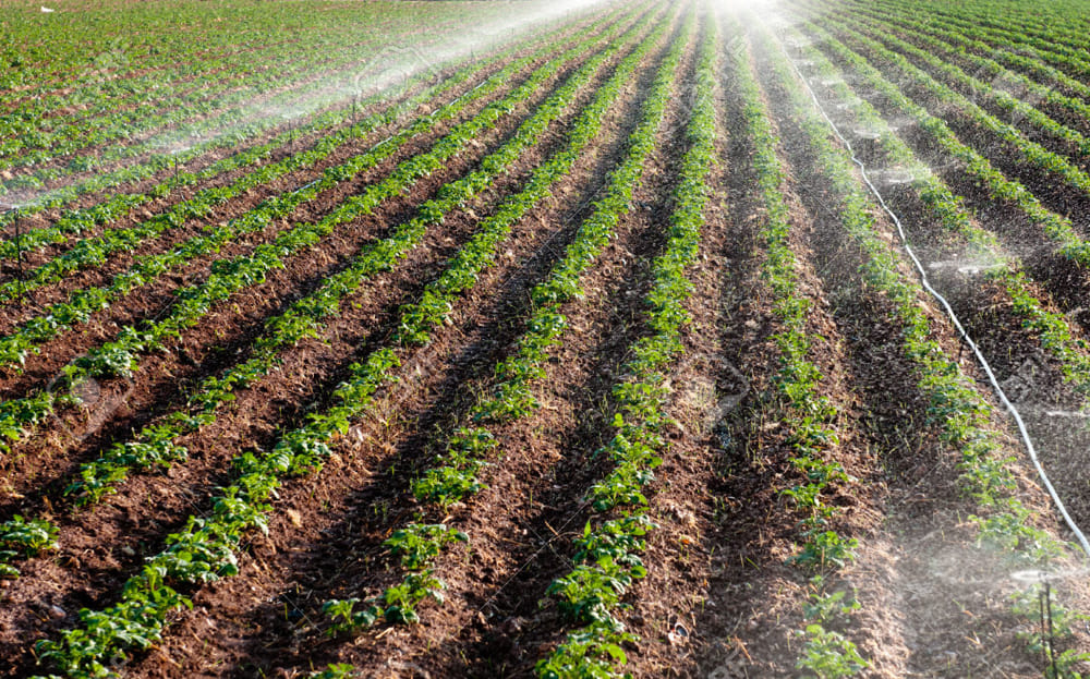 L'agricoltura biologica in Lombardia