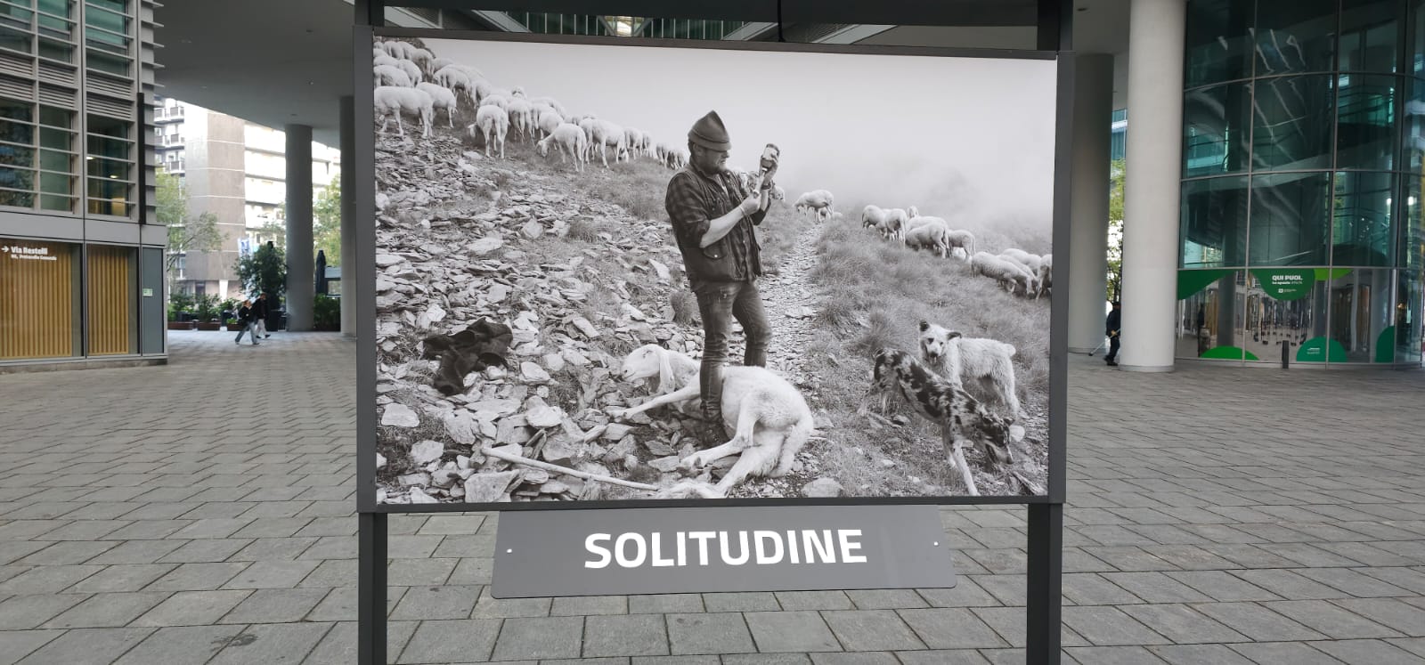 Mostra pastoralismo