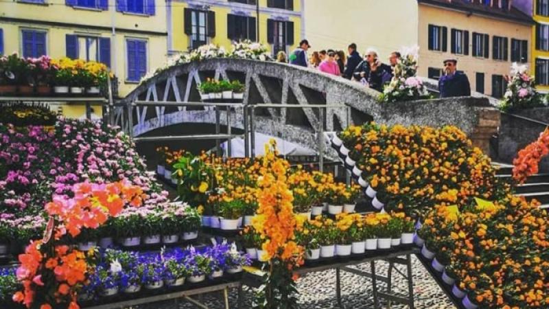 Fiori e sapori sul Naviglio Grande di Milano