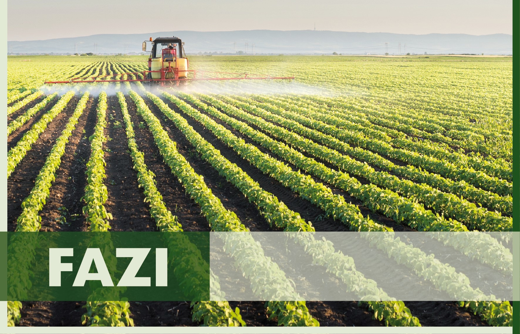 Fazi a Montichiari