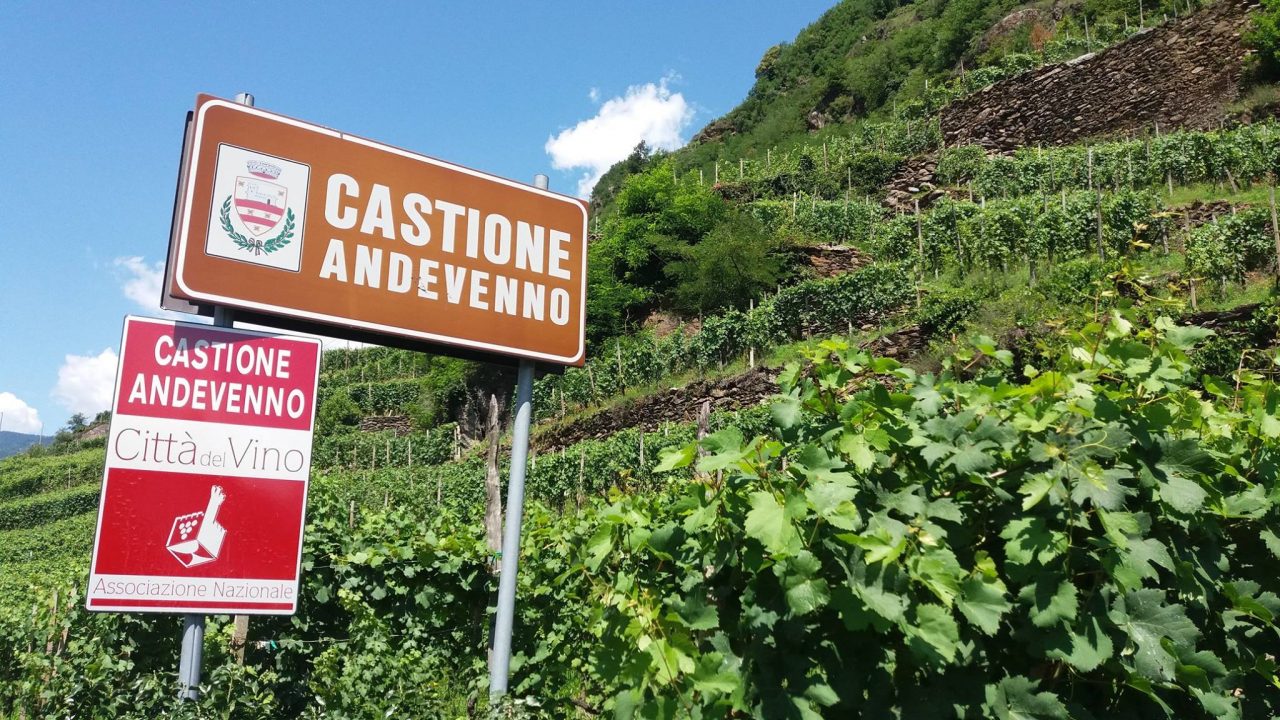 Vigneti terrazzati a Castione Andevenno in Valtellina